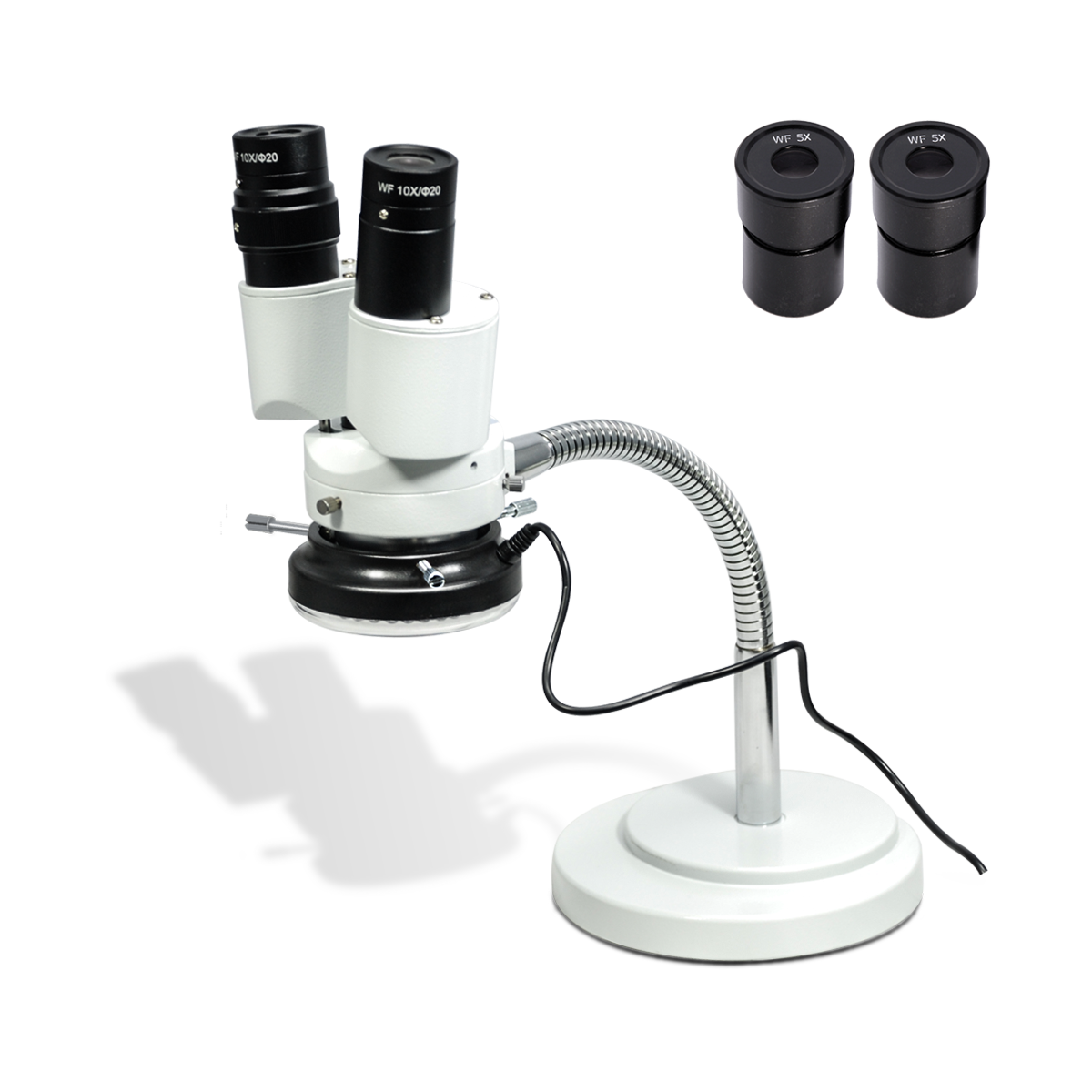 Stereo Microscope